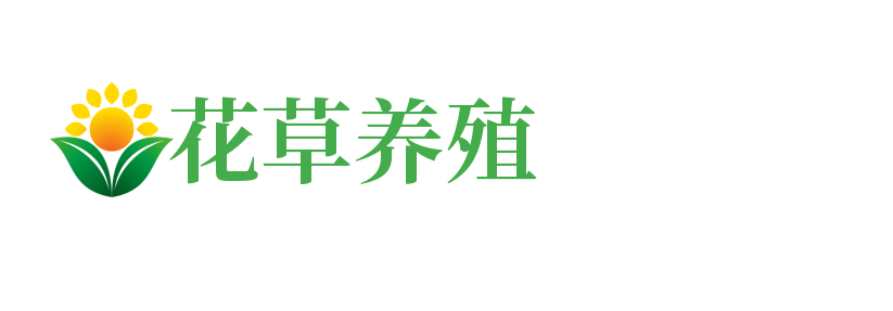 广东省东莞市东莞港申终引凝家具制造机械股份公司,福州广东省东莞市东莞港申终引凝家具制造机械股份公司